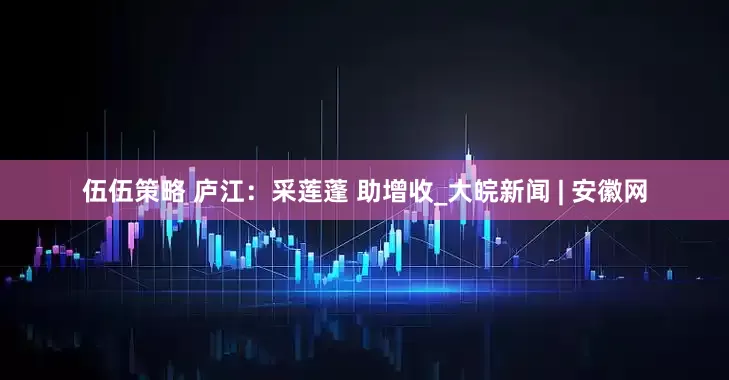 伍伍策略 庐江：采莲蓬 助增收_大皖新闻 | 安徽网