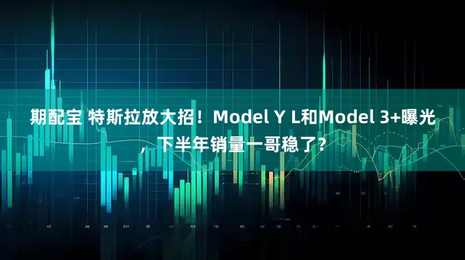 期配宝 特斯拉放大招！Model Y L和Model 3+曝光，下半年销量一哥稳了？