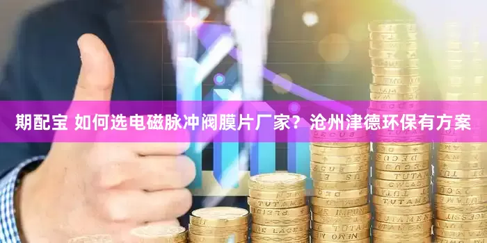 期配宝 如何选电磁脉冲阀膜片厂家?沧州津德环保有方案